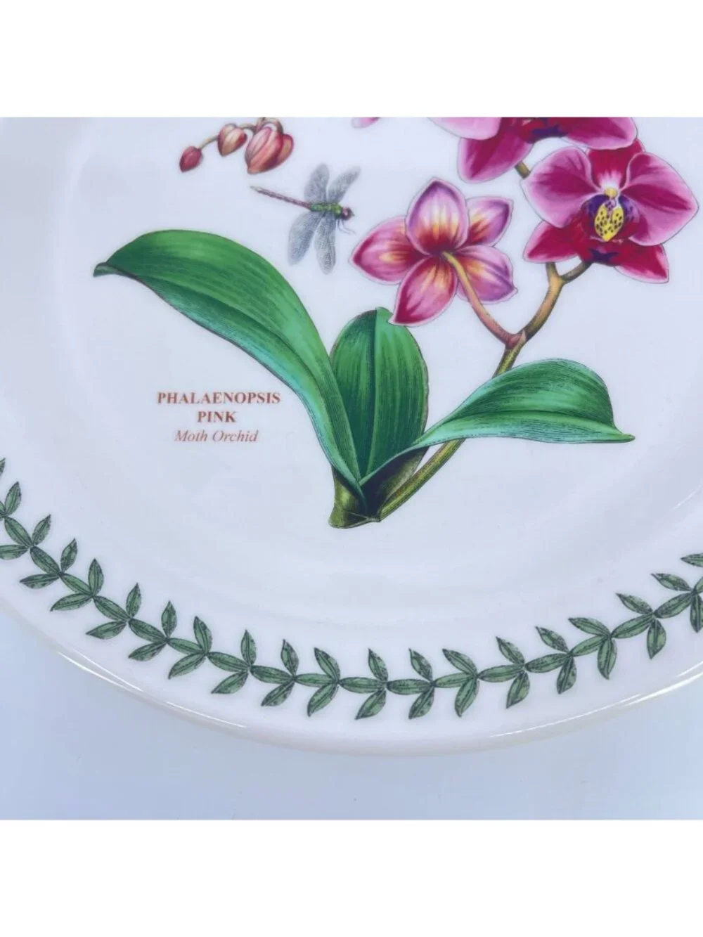 vintage portmeirion botanic garden phalaenopsis pink orchid plate 10.5